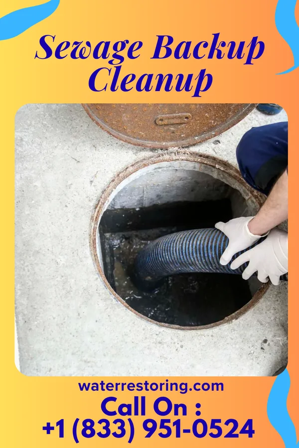 Sewage Backup Cleanup in Holden, MO